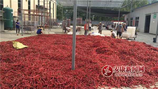 ttĮa(chn)I(y).jpg