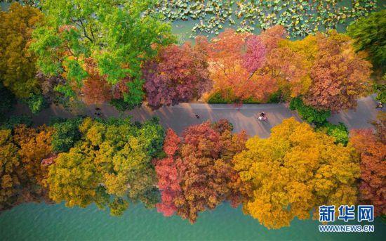 #�������Ї�(gu��)����1�����ڽ���