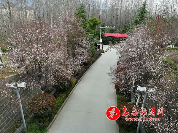 �h�������ů���_