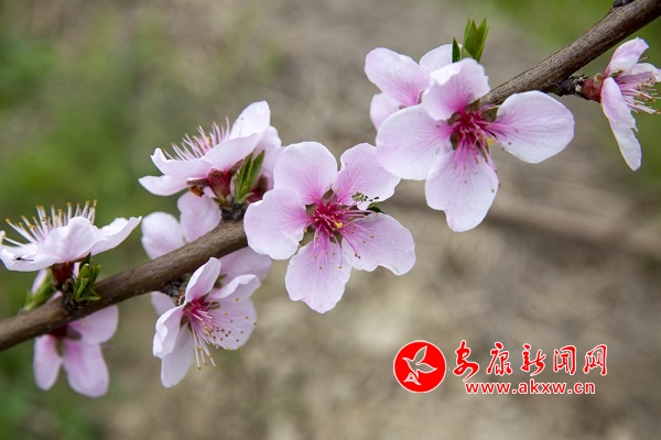 ��Ϫ�(zh��n)�P���� �L(f��ng)���@߅��(d��)��