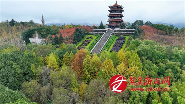 �������@�ߔ��箋(hu��)