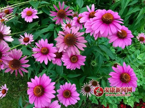 ������(j��ng)�_(k��i)�Ҹ���