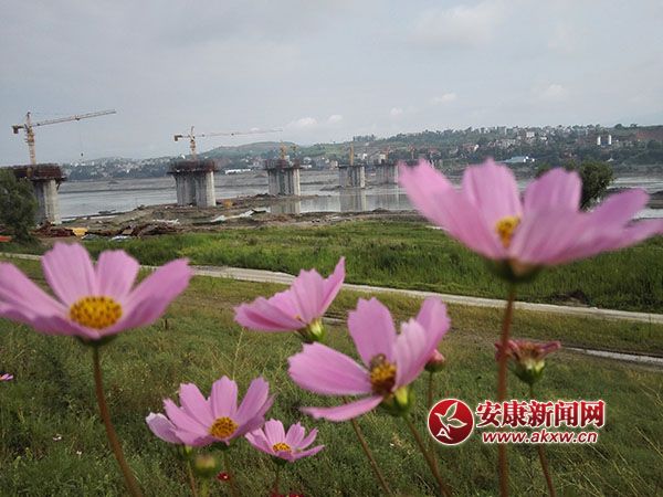 ���B(t��i)����