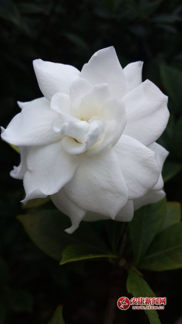 �d�ӻ��_(k��i)