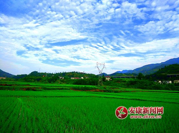 ϣ������Ұ