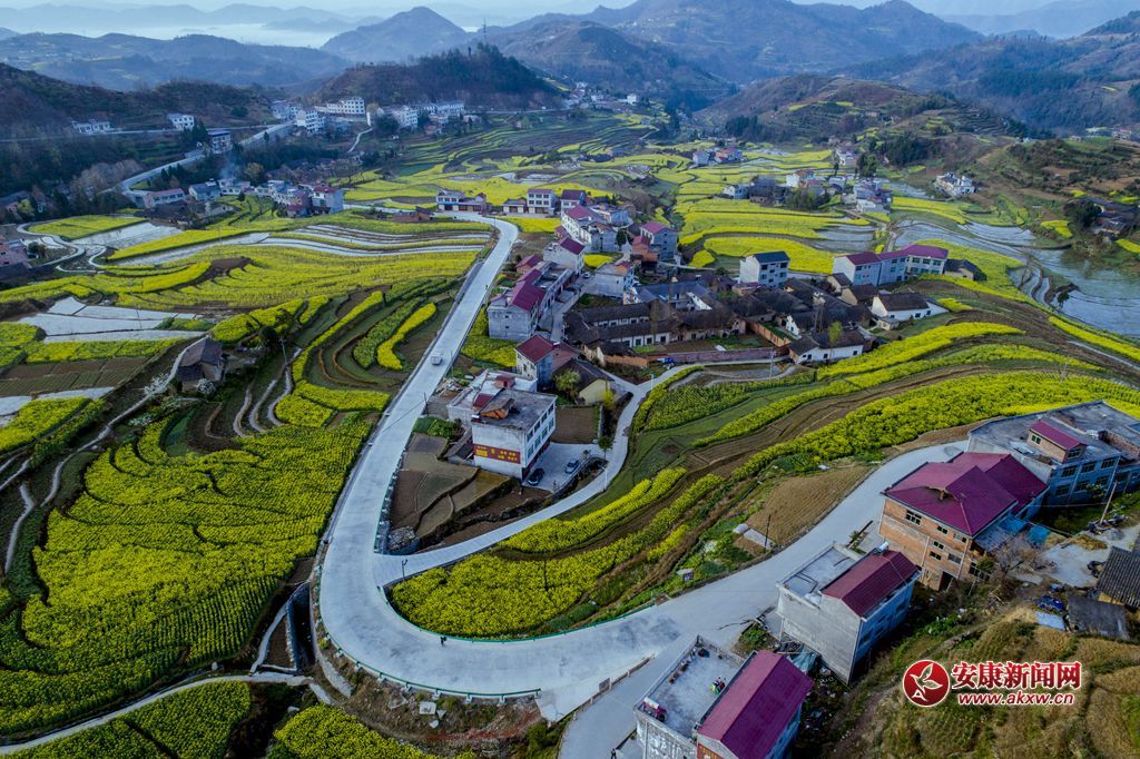 ���P�ߴ�ɫ���zӰ��Ƥ�¾S���Ԓ���h��13325355508���Ĕz�����ʡ�hꎿh���u�(zh��n)�P�߹������� - ����.JPG