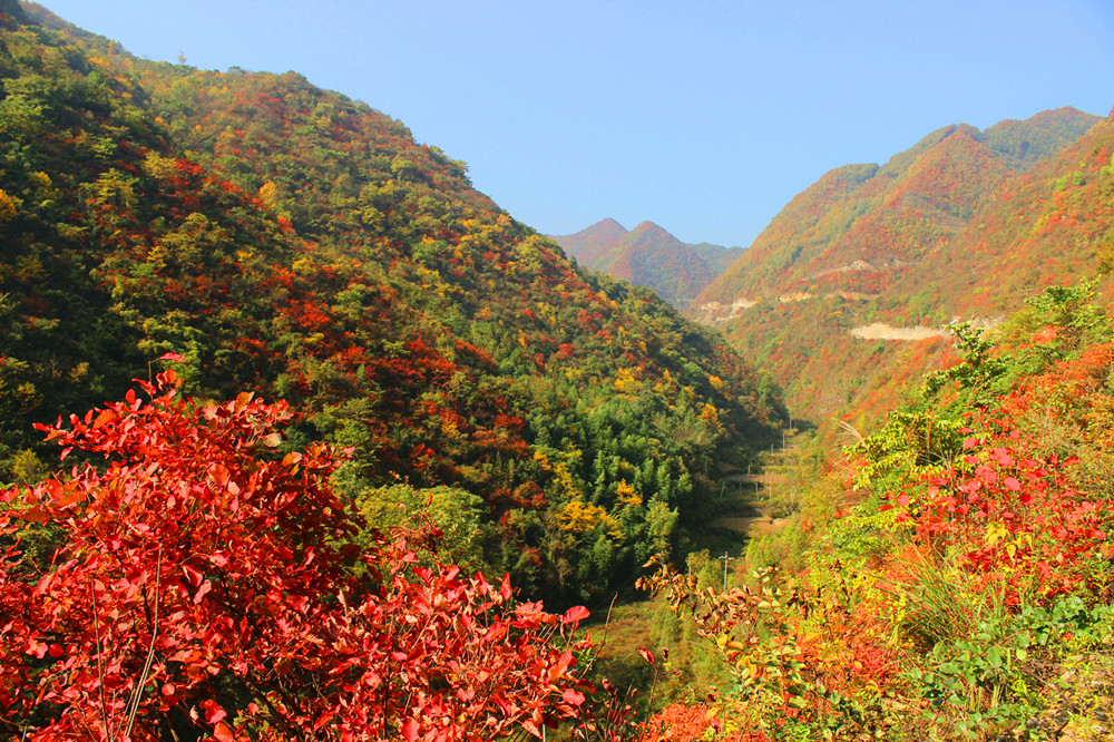 ����׌üt�~��(ji��)������