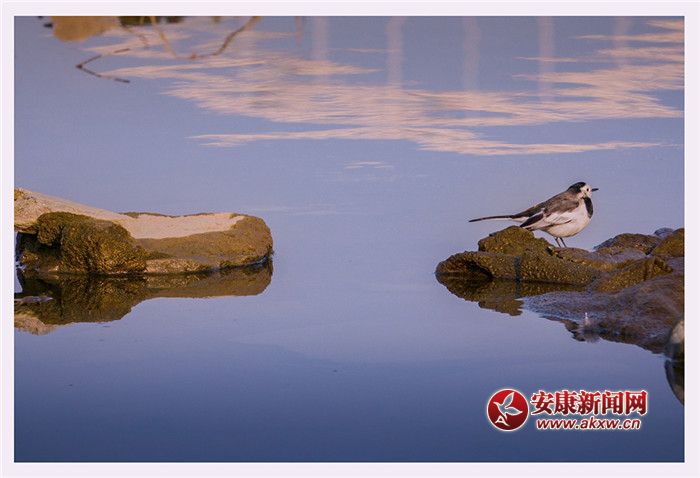 ��ˮ��һɫ���zӰ��Ƥ�¾S���f��������Ƭ��2017��12��3�������ʡ�����Нh�����Ĕz�ģ�չ�F(xi��n)�����õ����B(t��i)�h(hu��n)����(li��n)ϵ�Ԓ��