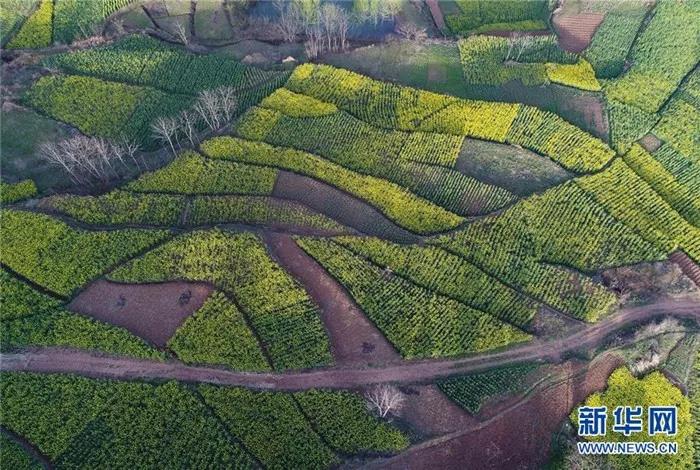 �������hꎽ�ɫ�Ͳ˻���