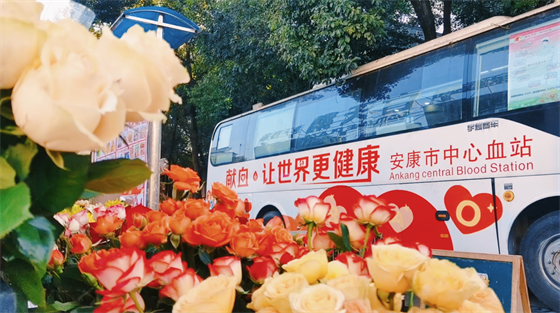 安康這三兄妹，熱血！