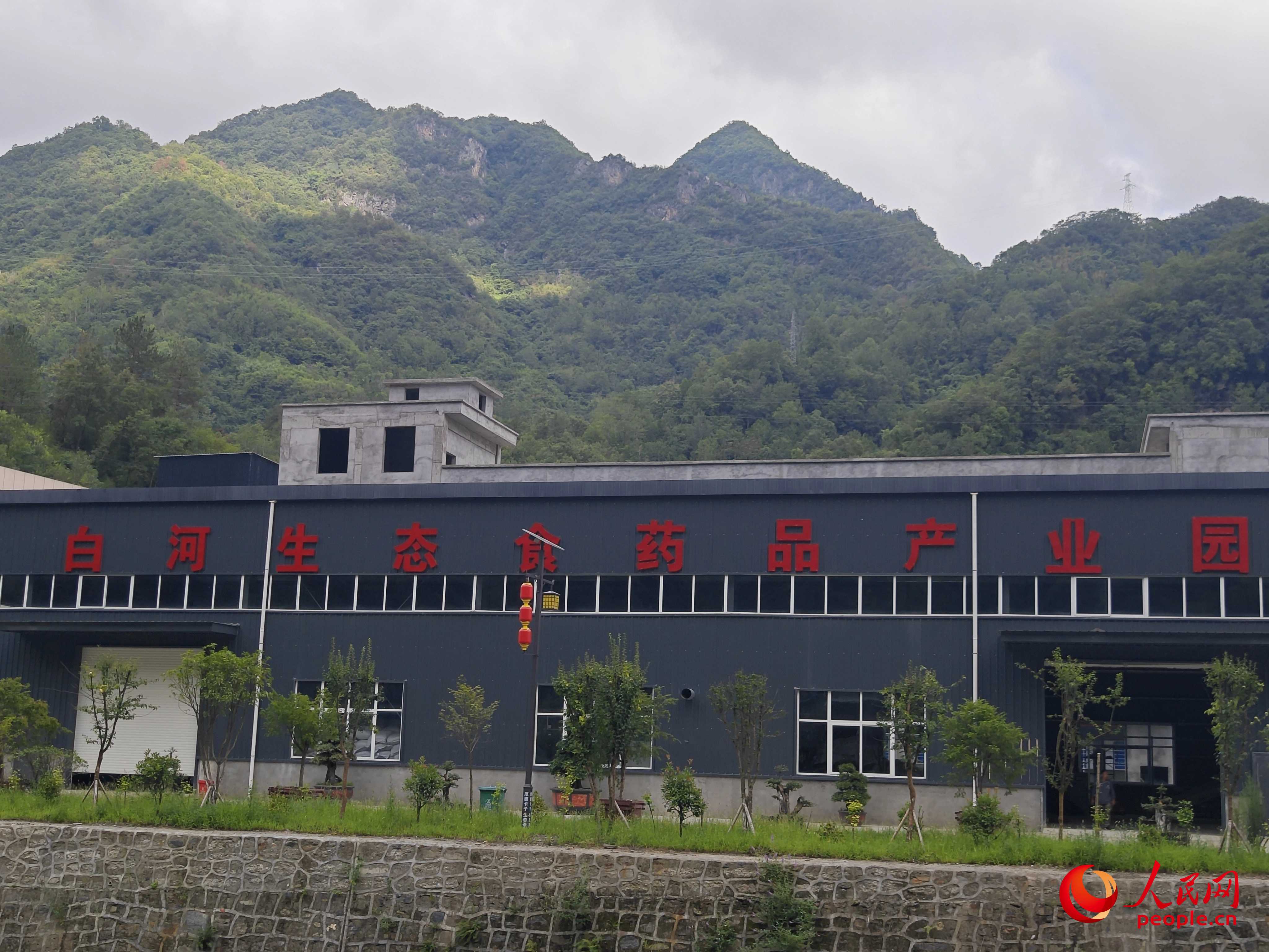 卡子鎮(zhèn)新建的社區(qū)工廠(chǎng)。人民網(wǎng)記者 黃鈺攝