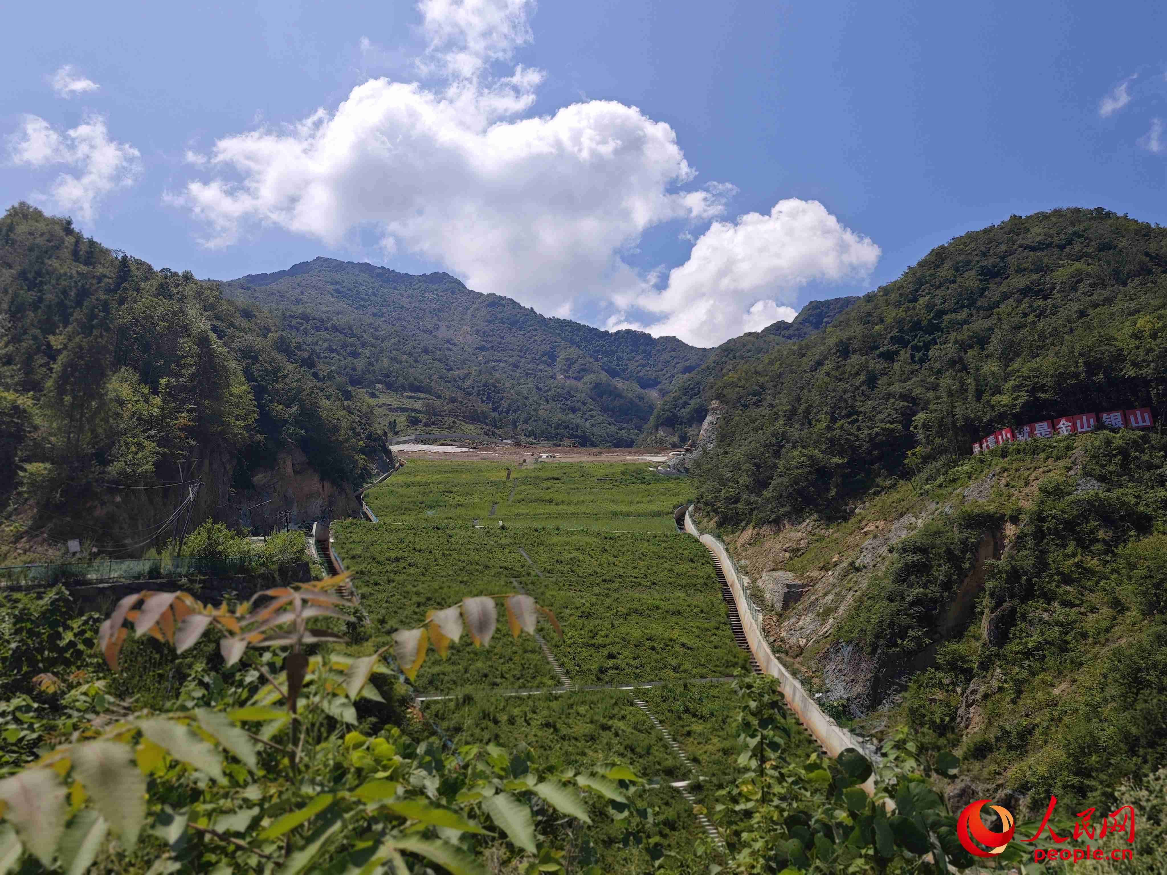 已部分復(fù)綠的貯存場(chǎng)。人民網(wǎng)記者 黃鈺攝